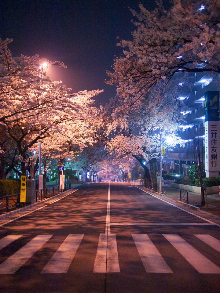 Street