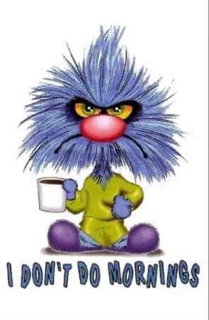 I don't do mornings