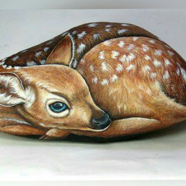 Spoted Deer