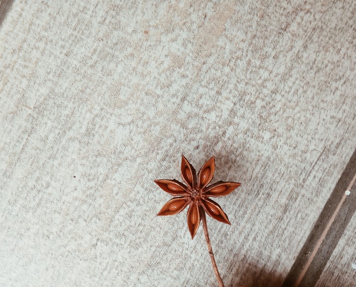 little Star....