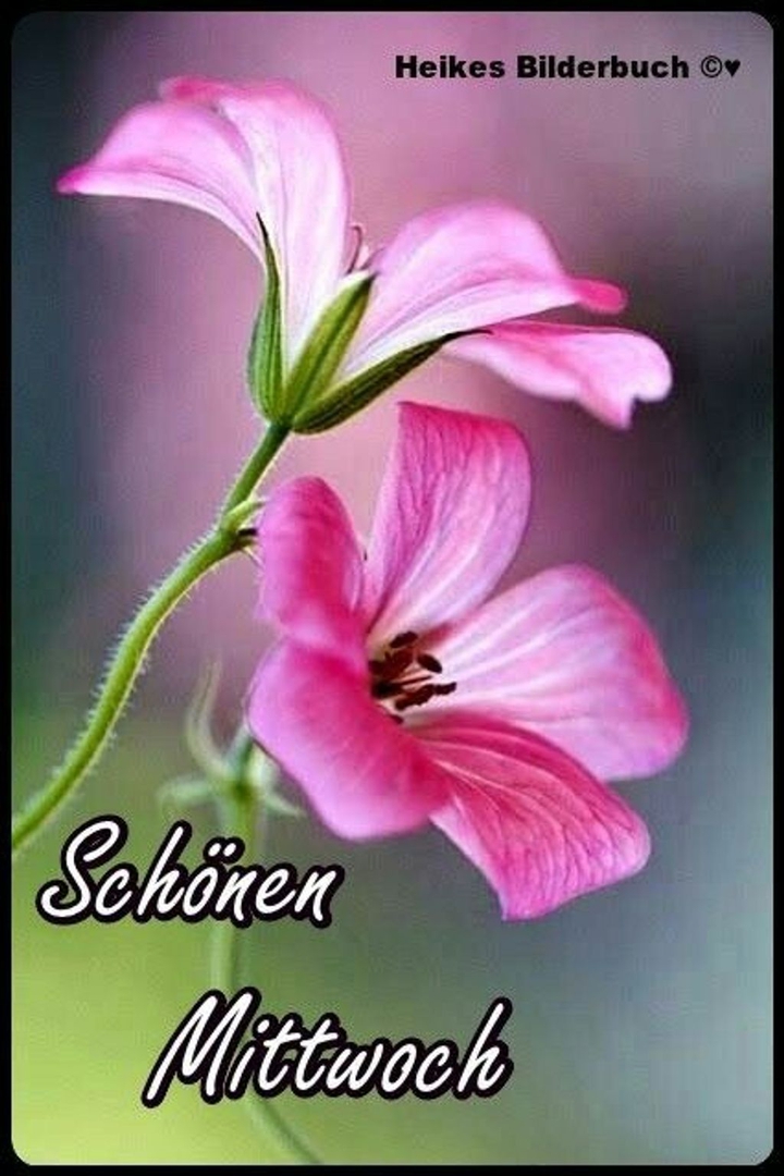 schön Tag