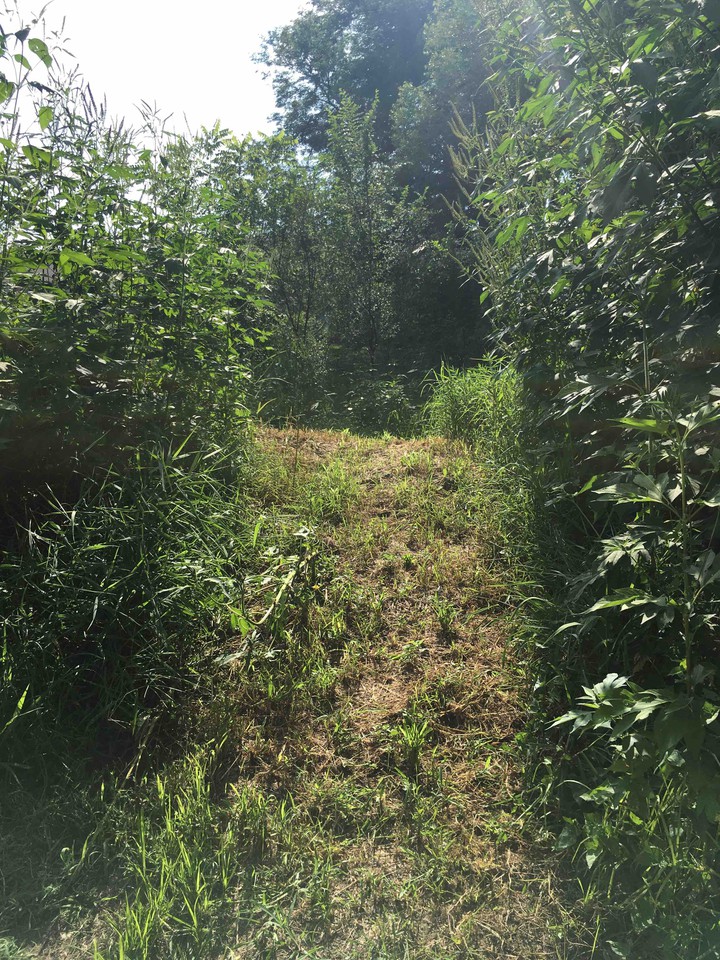 Green Path