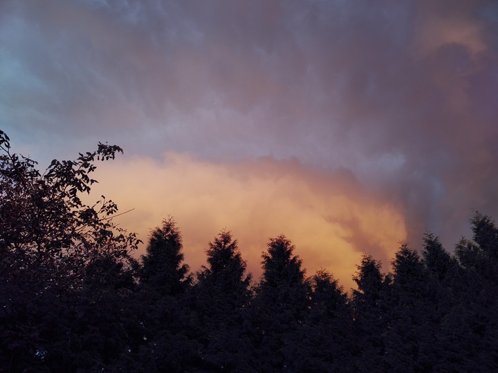 Homeview