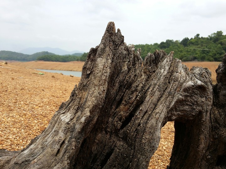 earth dam thenmala