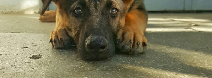 my Lil boy