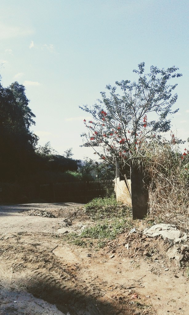 Paisagem