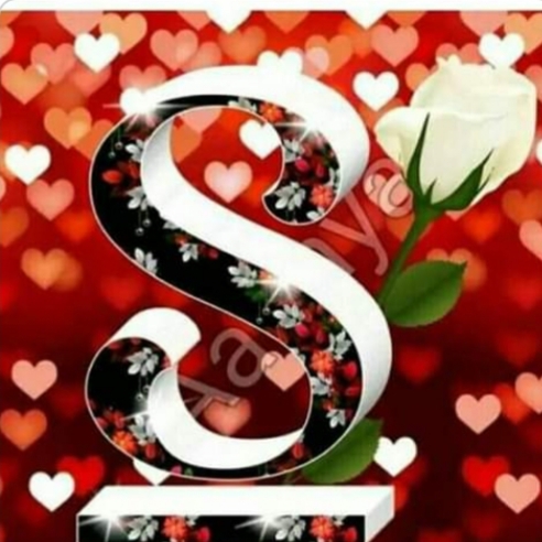 Selin