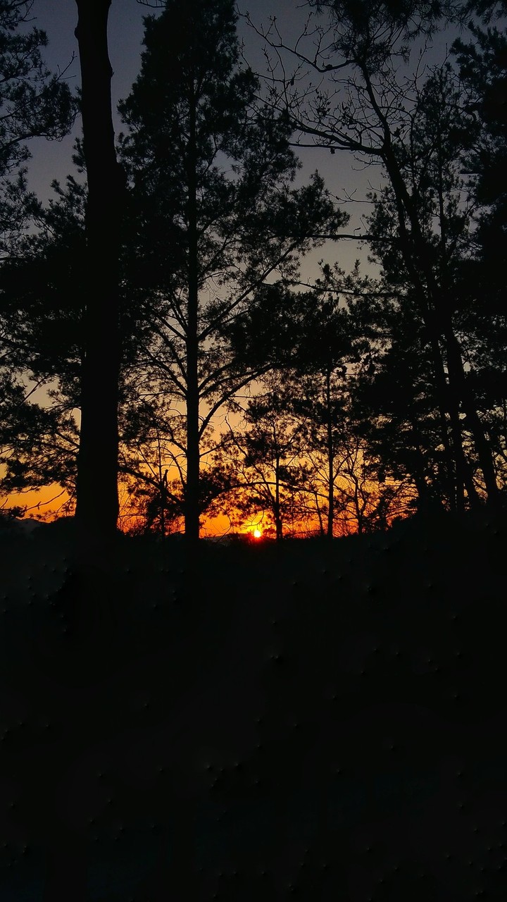Orange sunset