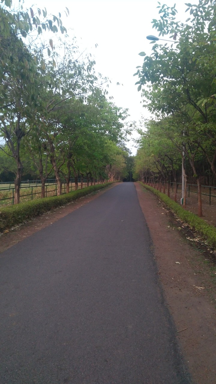 The endless journey