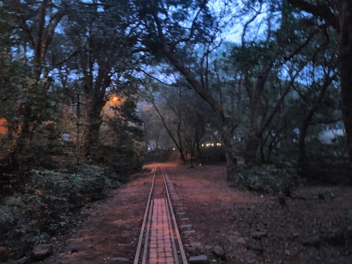 Lonely Tracks