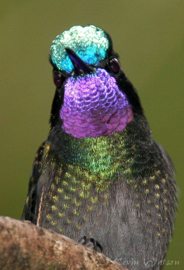 close_up