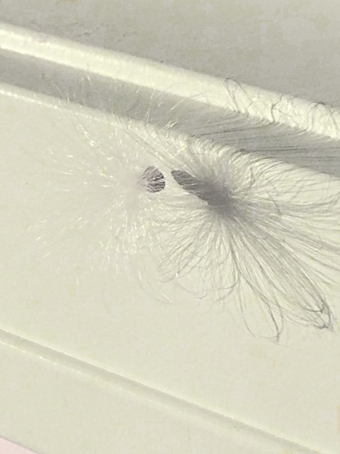 white cotton