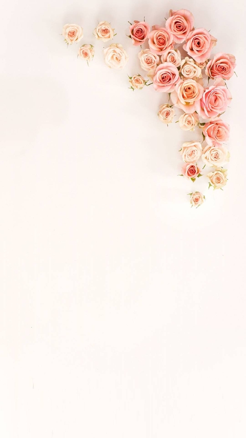 Wall Print