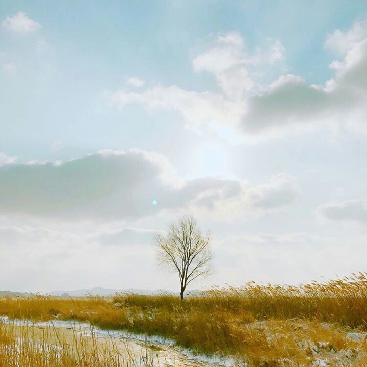 photo by Vvvante 봄날