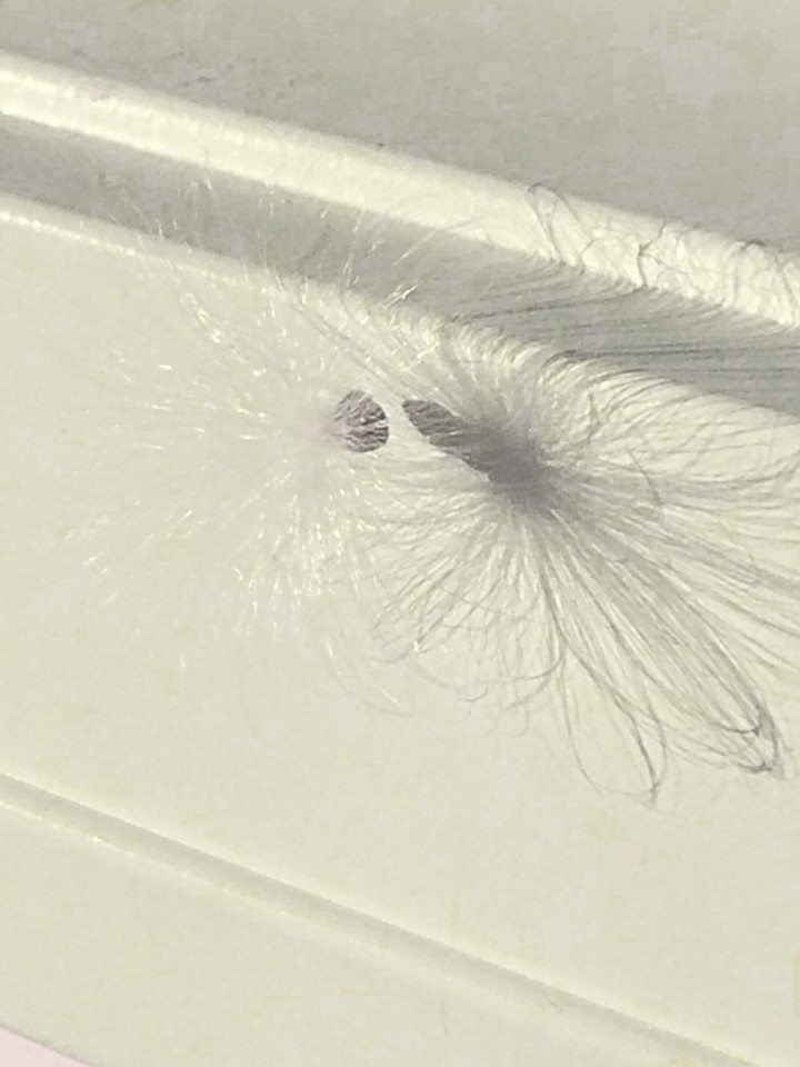white cotton