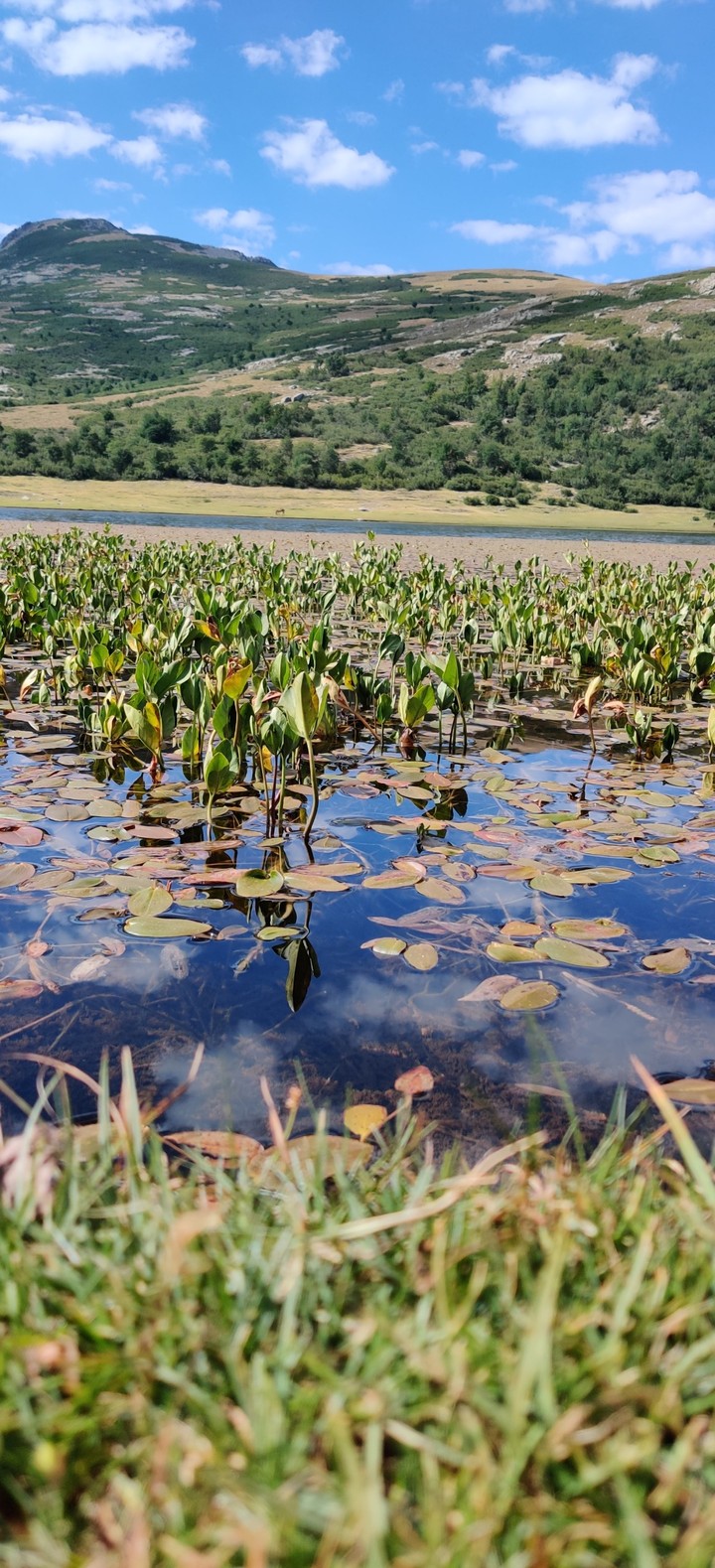 Lac de Nino