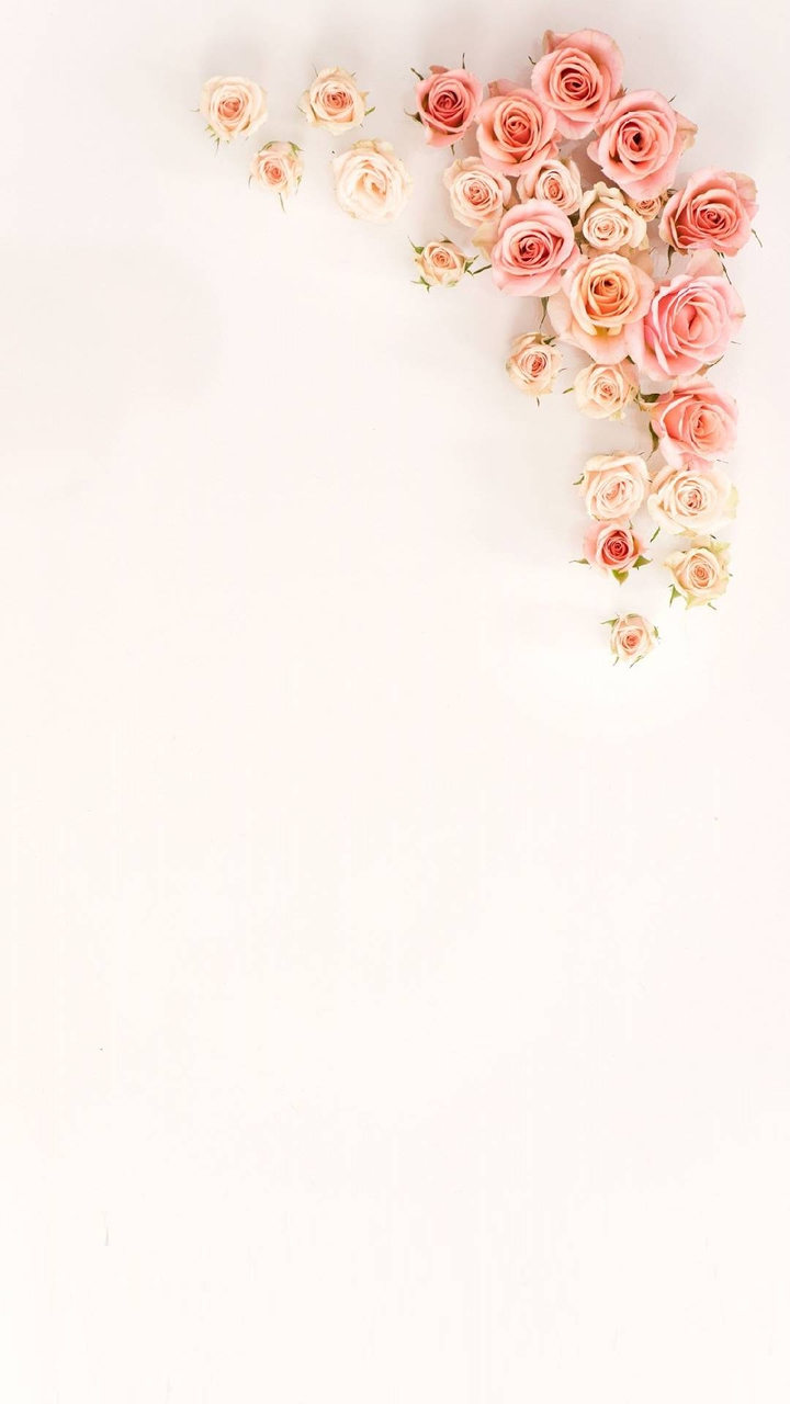 Wall Print