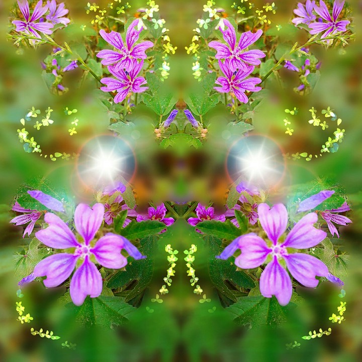 flowers