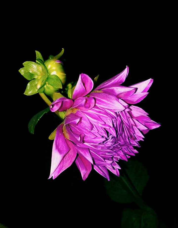 It takes time to grow.... ♥ ♥