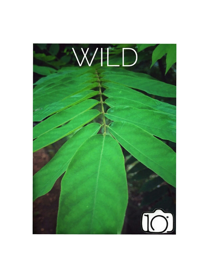 wild