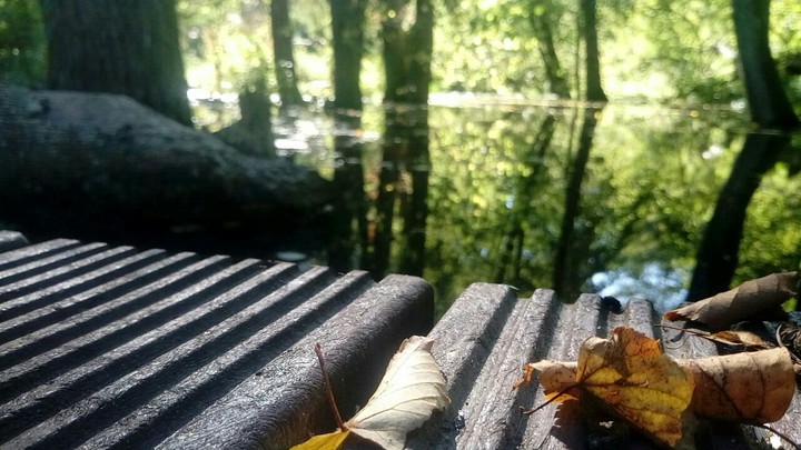 Kraina spokoju