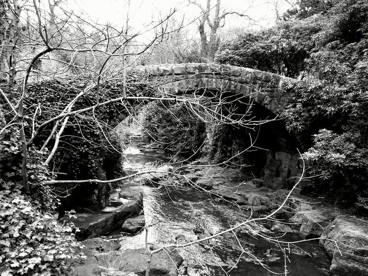 foot bridge