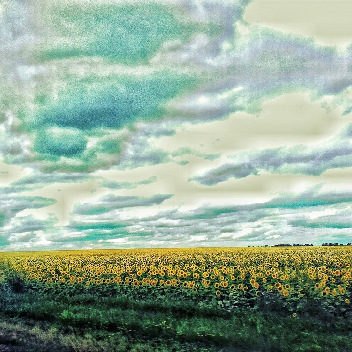 #sky