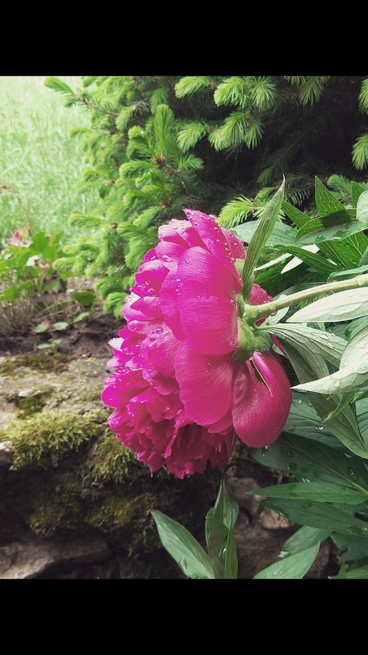 After rain