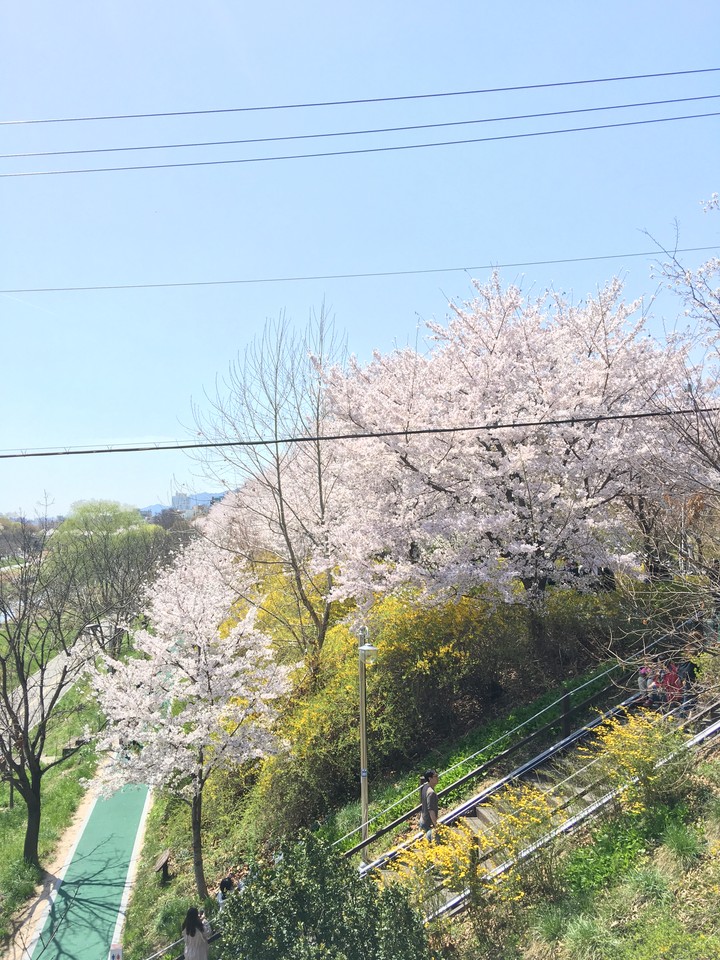 화창한 봄날