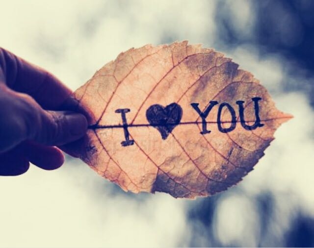Я ♥️ тебя