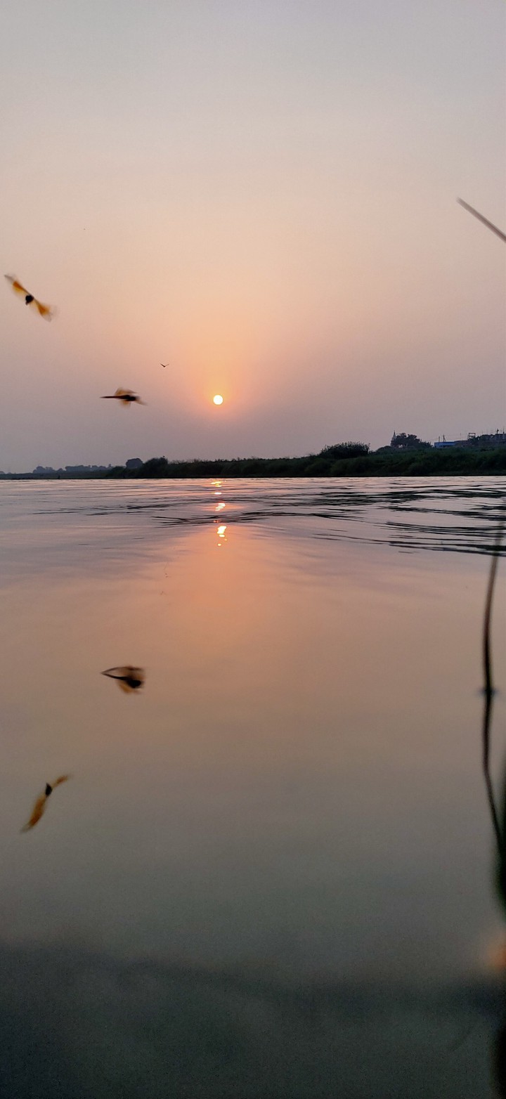 sunrise