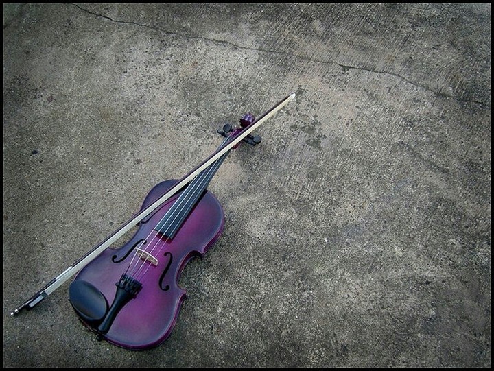 Violin