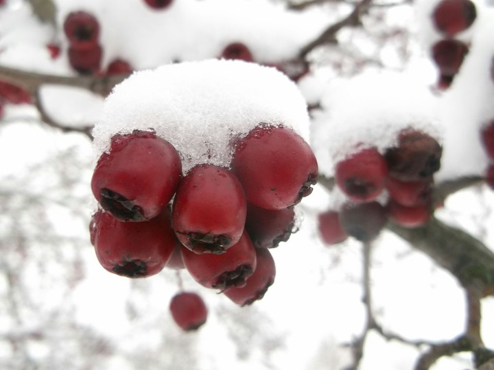 winter