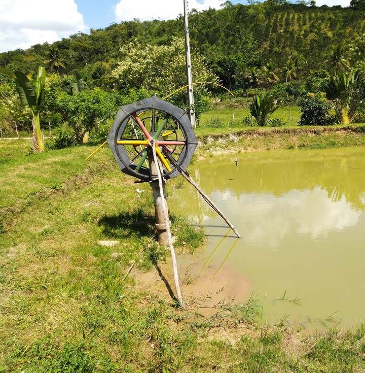 lago - açude