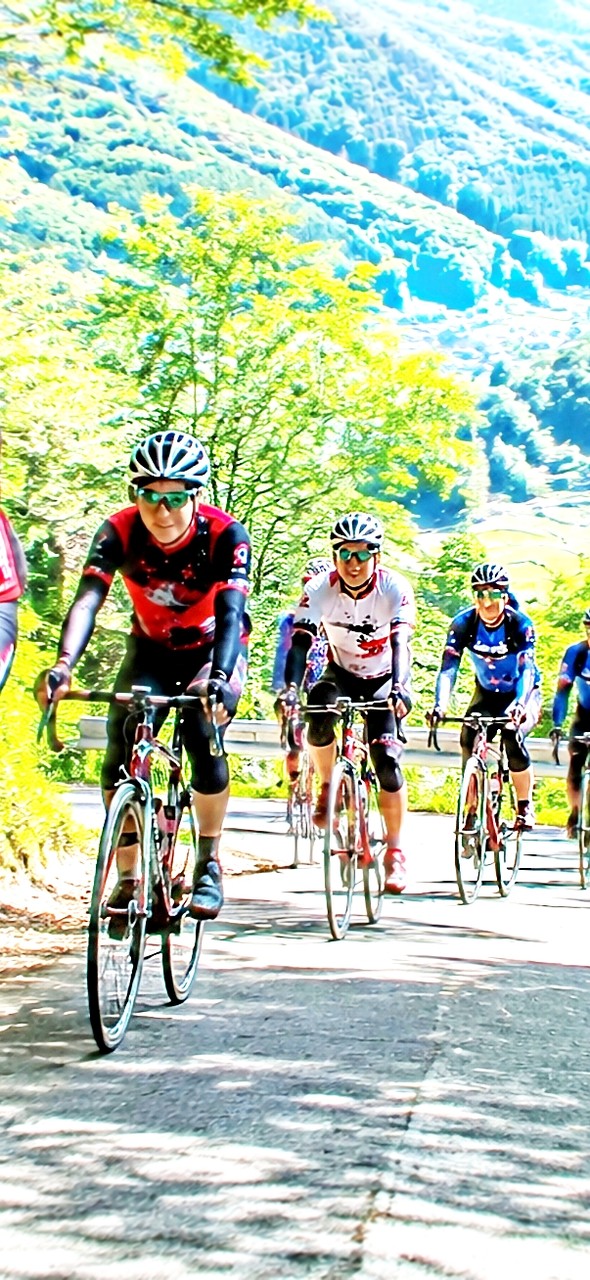 fondos de pantalla bicycle, bycycle