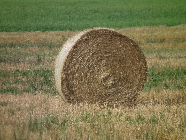 Strohballen