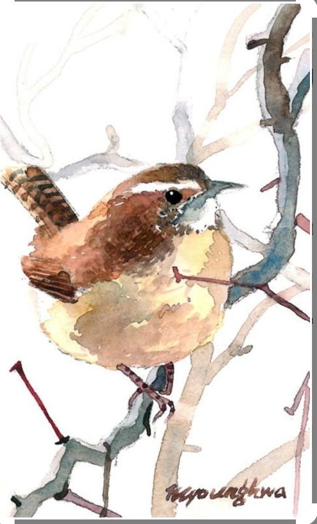 Birdy ?
