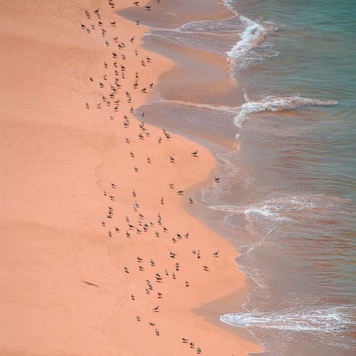 plage au Maroc.
