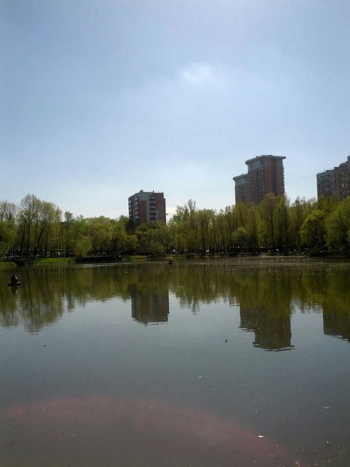 пейзаж богдановский пруд