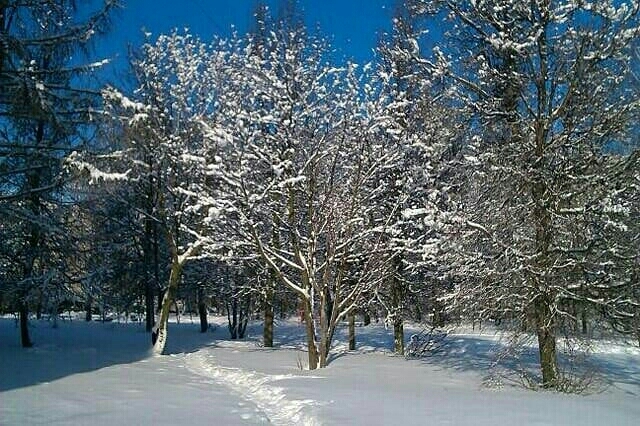 Winter