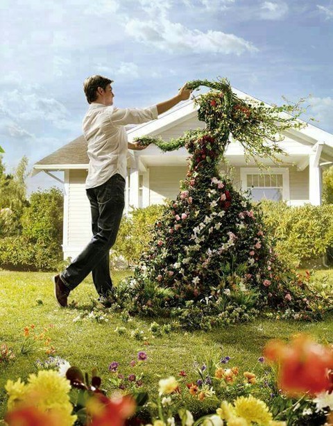 garden, 植物桌布