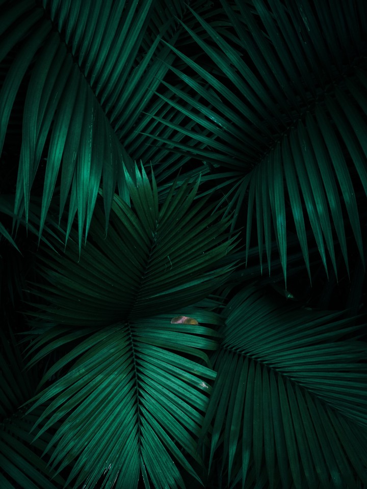 Monochromatic