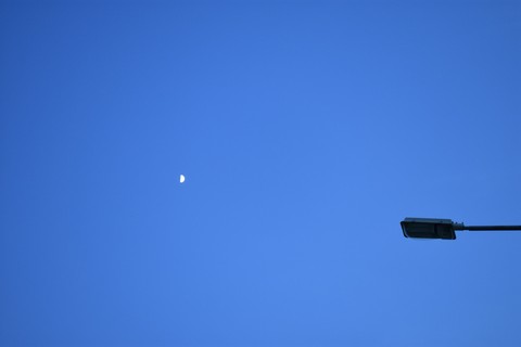 Dawn