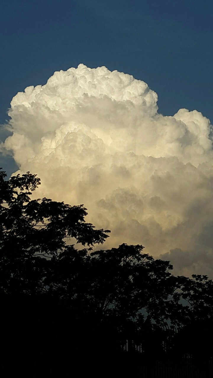 Clouds