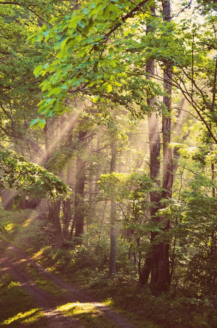 the road less traveled