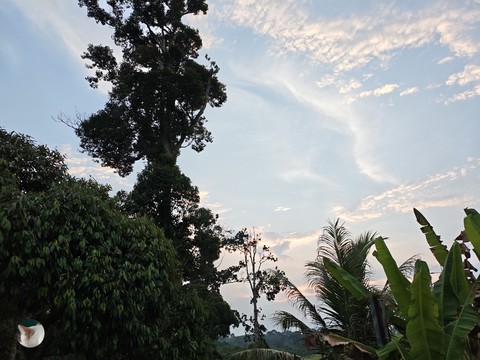 Weekend