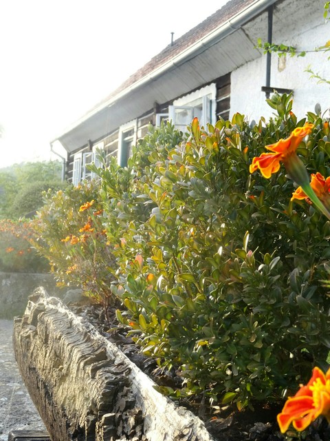 Village