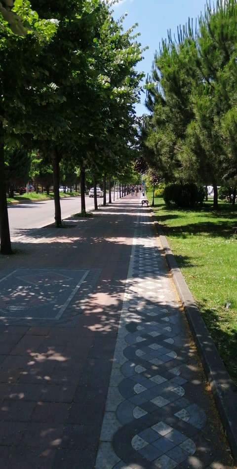 Yol