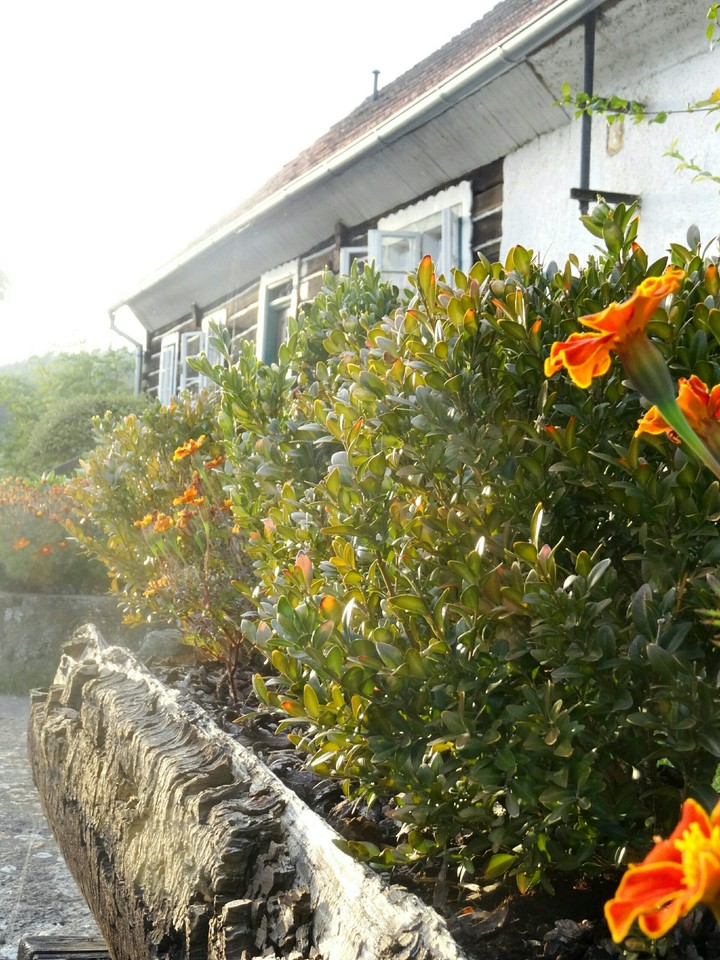 Village