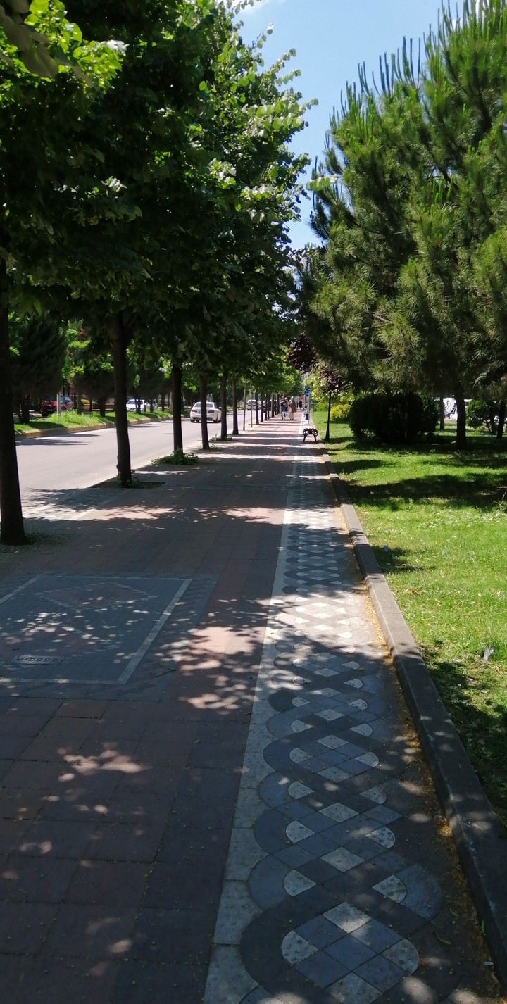 Yol